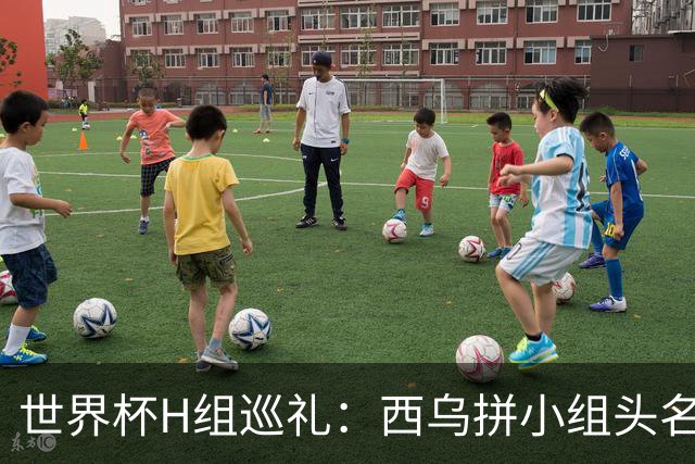 世界杯H组巡礼：西乌拼小组头名 沙特成X因素