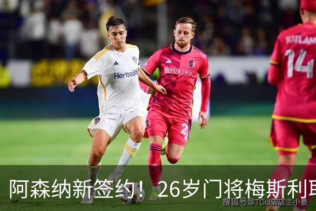 阿森纳新签约！26岁门将梅斯利耶免费加盟，成为拉亚的替补人选